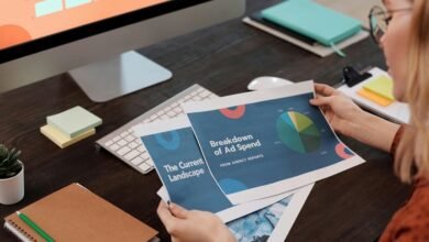 brandood insights and overview