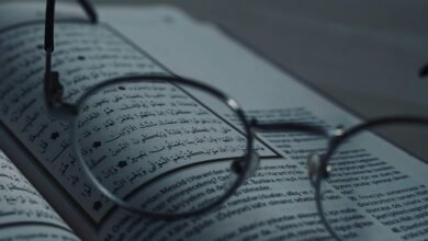 understanding specific details explained