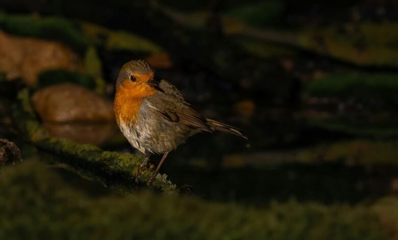 correlation synthesis log analysis