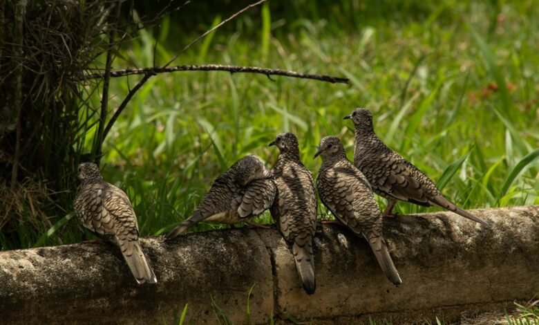 cross variable correlation inspection log