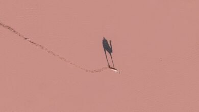 data analysis and tracking