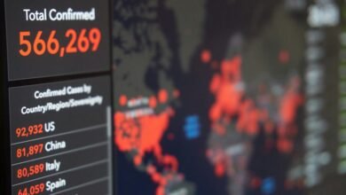 numerical data analysis summary