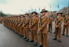 quantitative signal alignment analysis